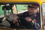 Свежие фото от участников (27.03.2021)