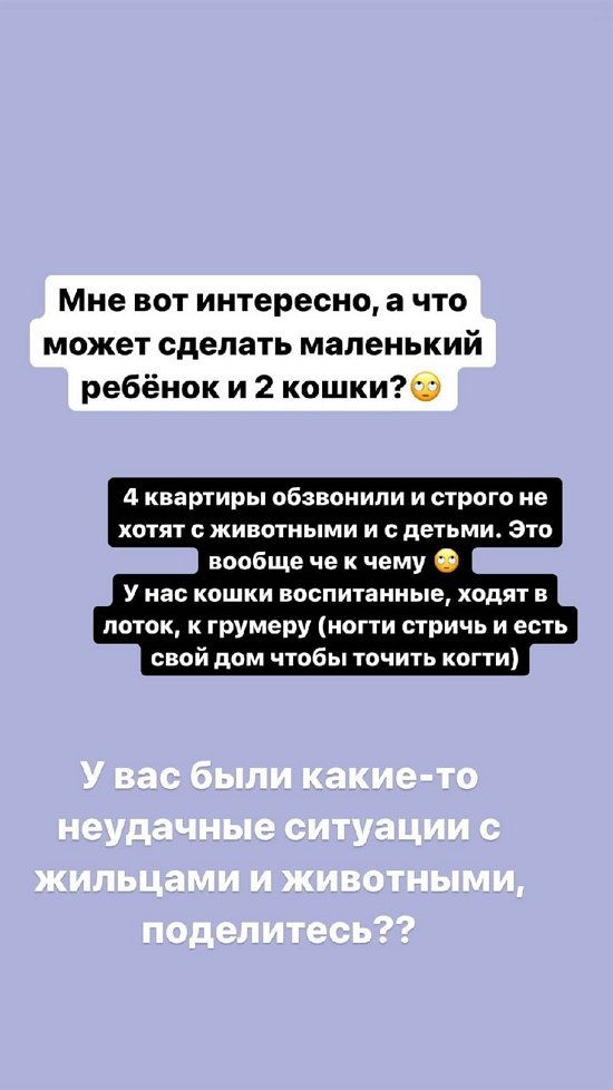 Александра Черно: Нам уже четыре хозяина отказали!