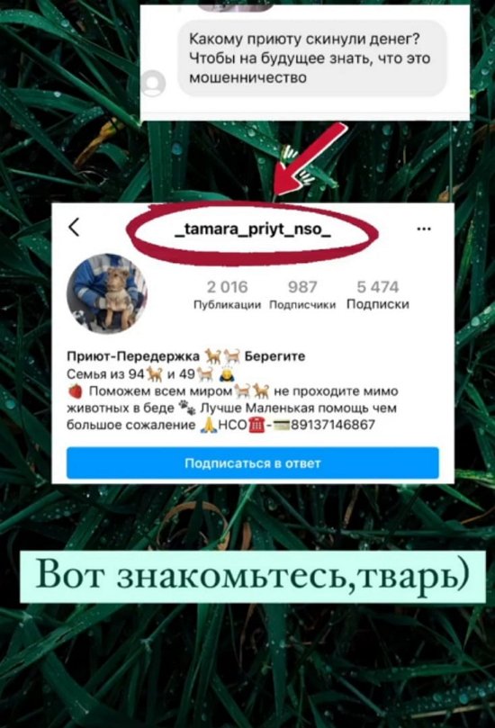 Ирина Пинчук: Какая же я наивная и всем верю