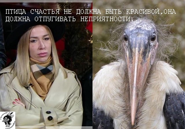 Приколы о Дом-2 (19.05.2021)