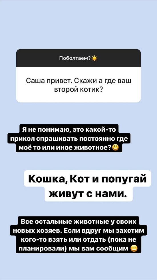 Александра Черно: Это стало последней каплей