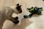 Александра Черно: Шансы невелики, но они есть!