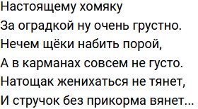 Стихи о Дом-2 на 6.06.2021