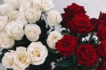 Мария Давидова: Я счастлива, а знаете почему?