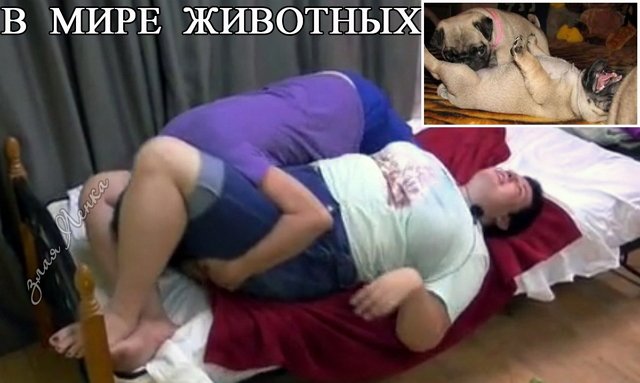 Приколы о Дом-2 (6.07.2021)