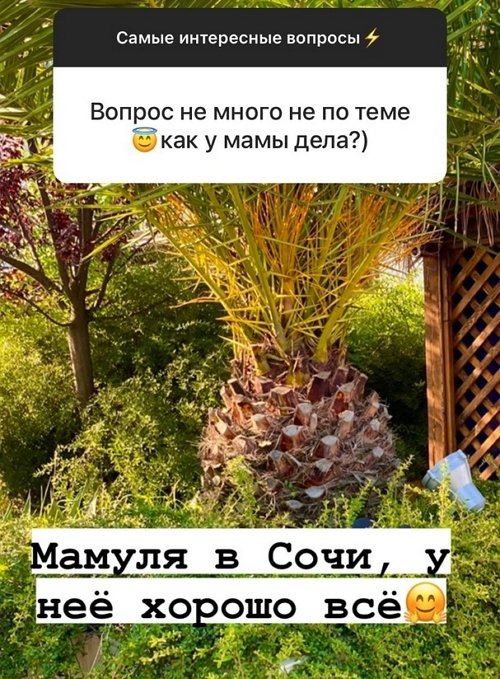 Александр Лобанов: Я улетал в Сочи, есть билеты
