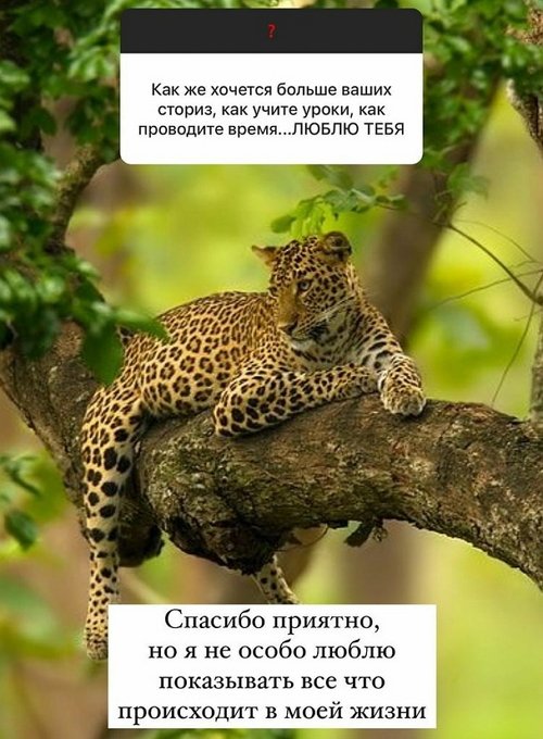 Евгения Феофилактова: Не грустные у меня глаза