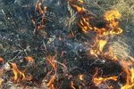 Роман Тертишный: Сейчас телестройка нуждается в верности