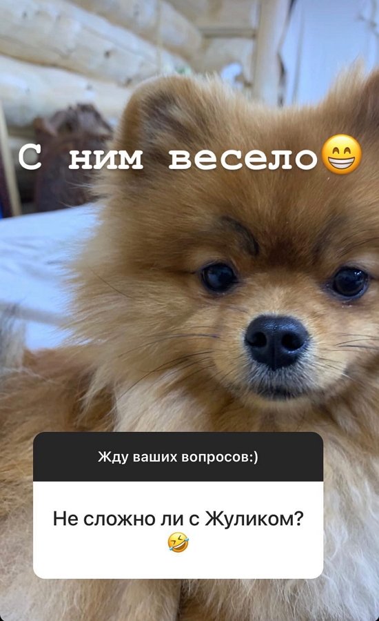 Даниэль Чистов: Планов очень много!