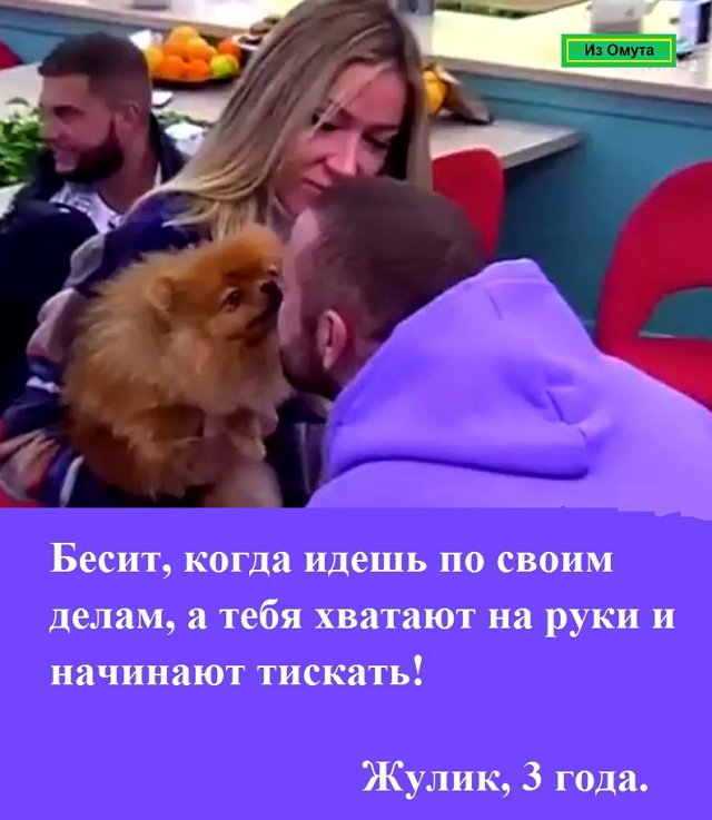 Приколы о Дом-2 (9.10.2021)
