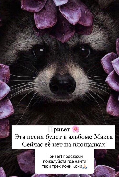 Анна Мадан: Пошли вон с моей страницы!