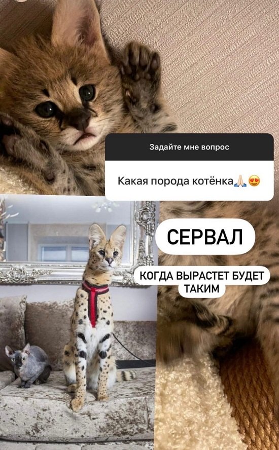 Диана Игнатюк: Она очень ласковая!
