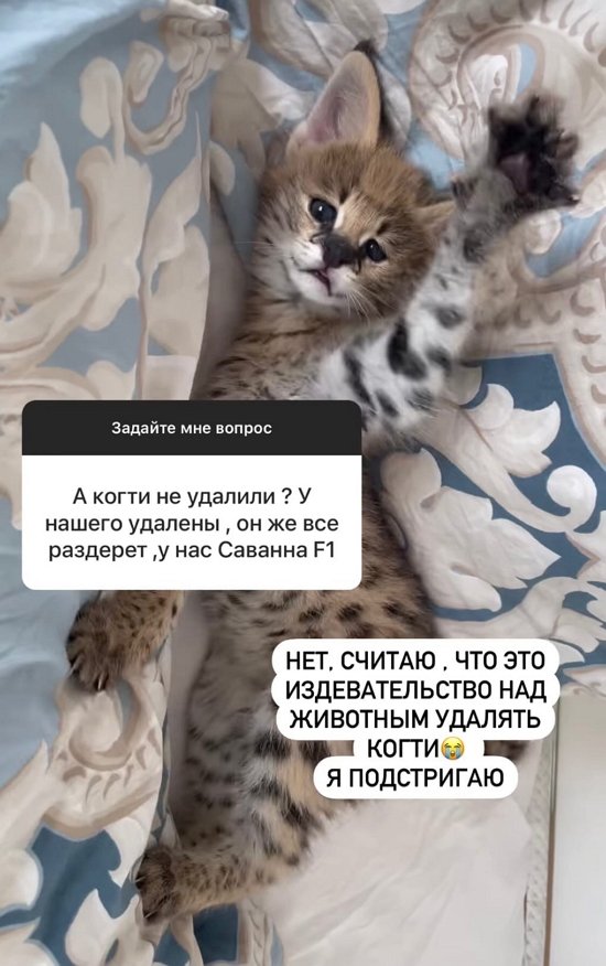 Диана Игнатюк: Она очень ласковая!