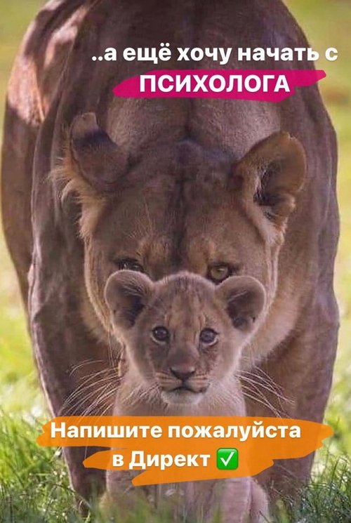 Алёна Савкина: Приходит принятие данной ситуации