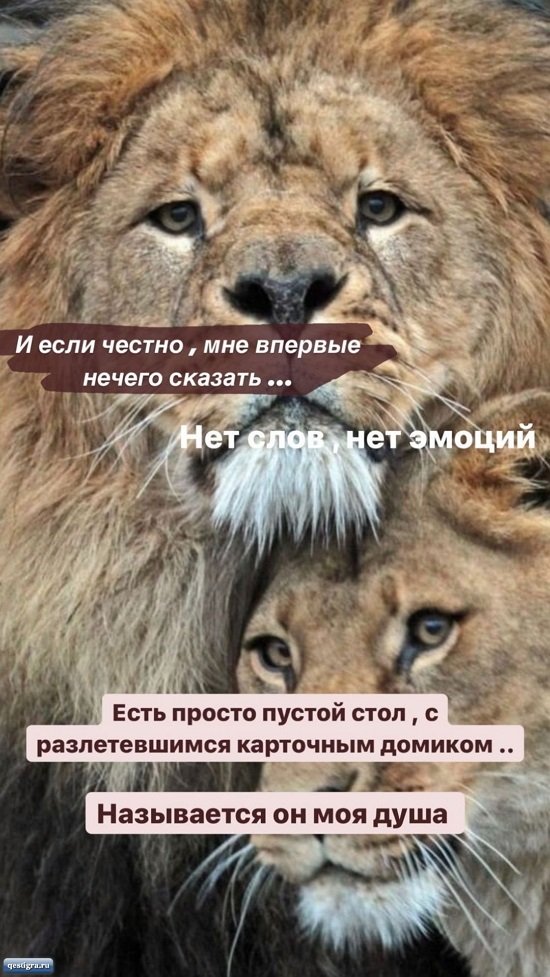 Алена Савкина: Просто хочу, чтобы вы меня поняли