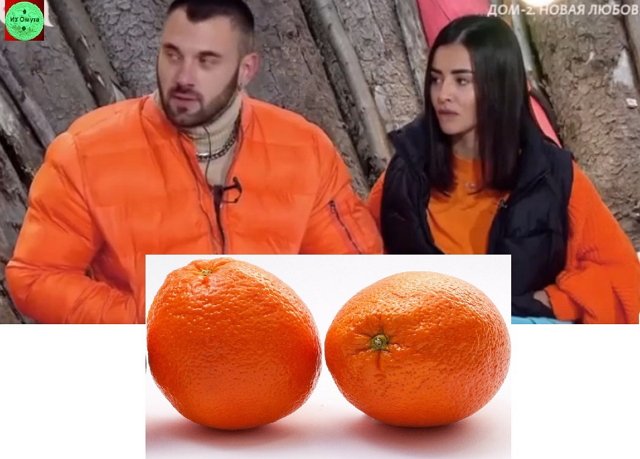 Приколы о Дом-2 (20.11.2021)