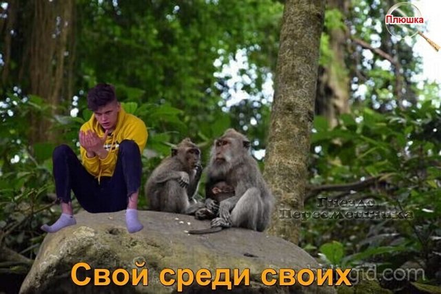 Приколы о Дом-2 (20.12.2021)