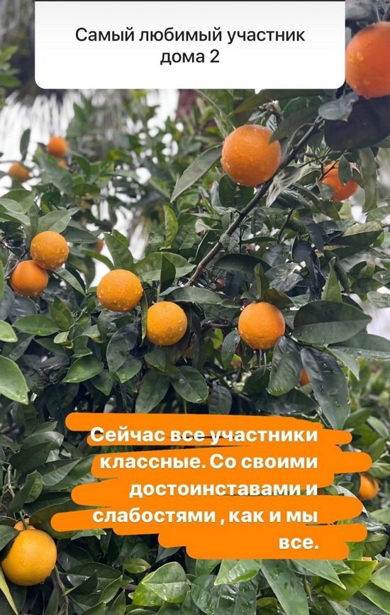 Дарья Пынзарь: Я отрицательно отношусь к солярию