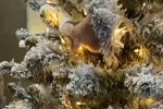 Евгений Кузин: Что за синяки?