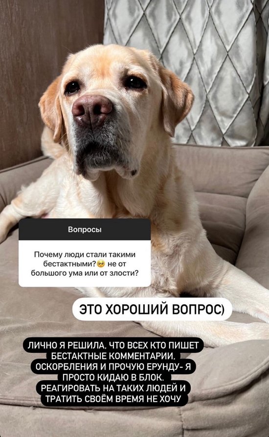 Наталья Варвина: Я просто кидаю их в блок