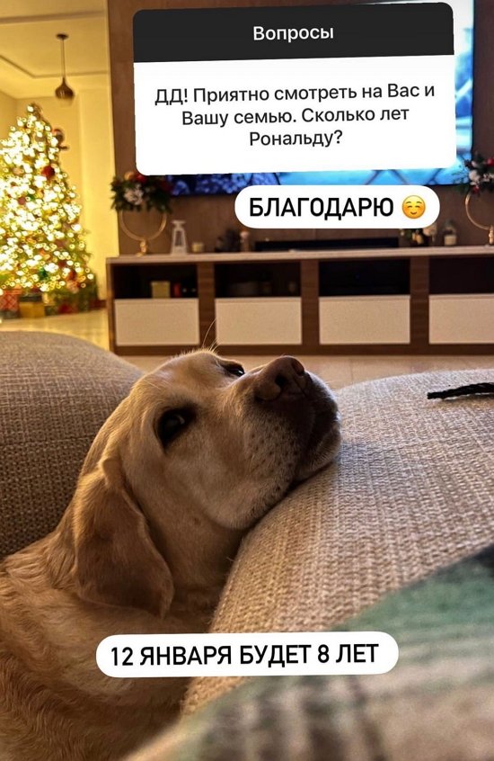 Наталья Варвина: Я просто кидаю их в блок