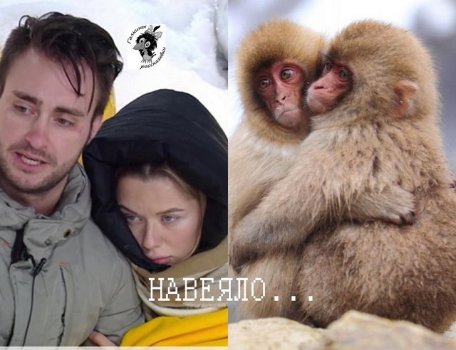 Стихи о Дом-2 на 12.01.2022