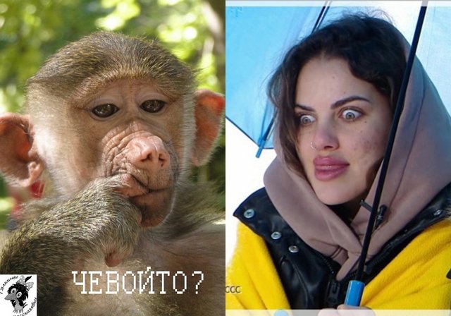Приколы о Дом-2 (31.01.2022)