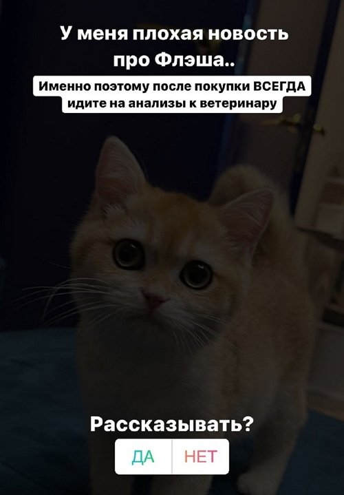 Милена Безбородова: Всегда сдавайте анализы!