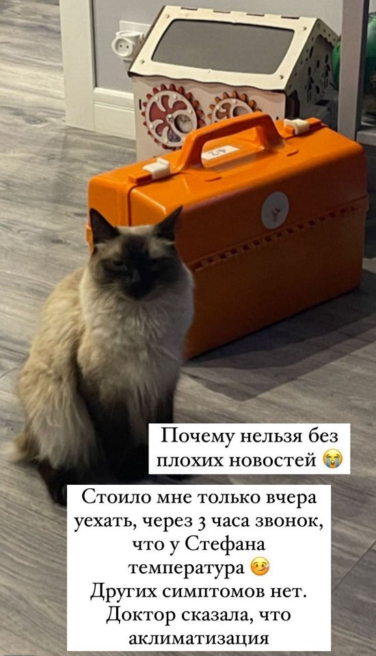 Александра Черно: Ждем врача, чтобы понять, что это