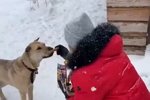 Екатерина Скалон: И щемит в душе от боли