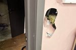 Евгений Ромашов: Между девчонками завязался разговор и спор