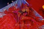 Анонс Дом-2 на 6/03/2022