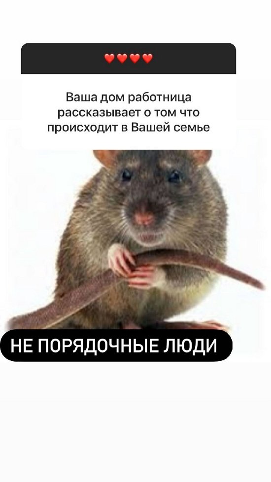 Полина Гельцер: Он просто пытался меня обидеть