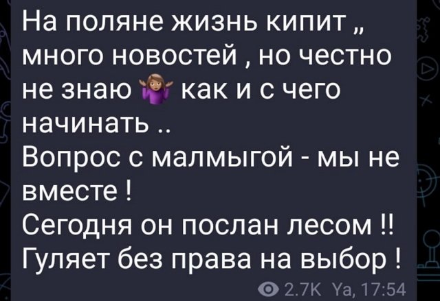 Яна Захарова: Глеб был послан!