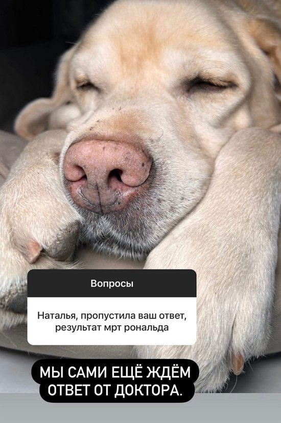 Наталья Варвина: Спина болит постоянно...