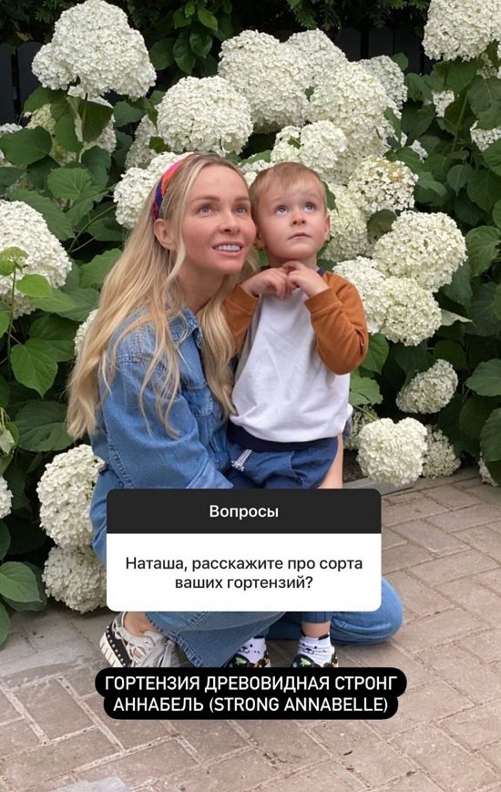 Наталья Варвина: Никаких процедур!