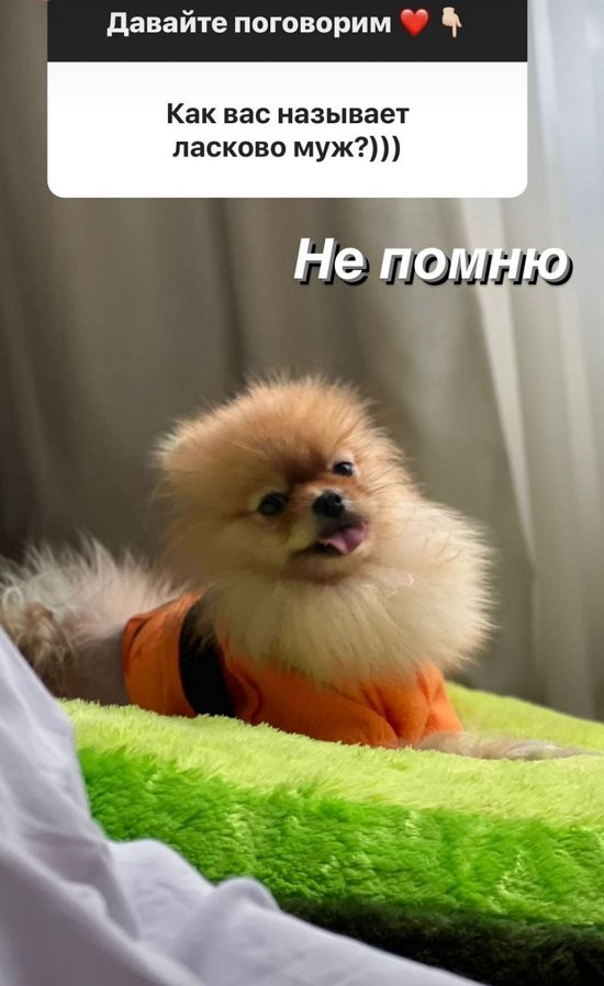 Елена Бушина: Дети не должны видеть этого...
