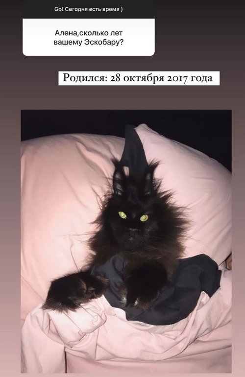 Алёна Водонаева: Хочу жить без ограничений