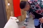 Новости от Кота Баюна (9.05.2022)