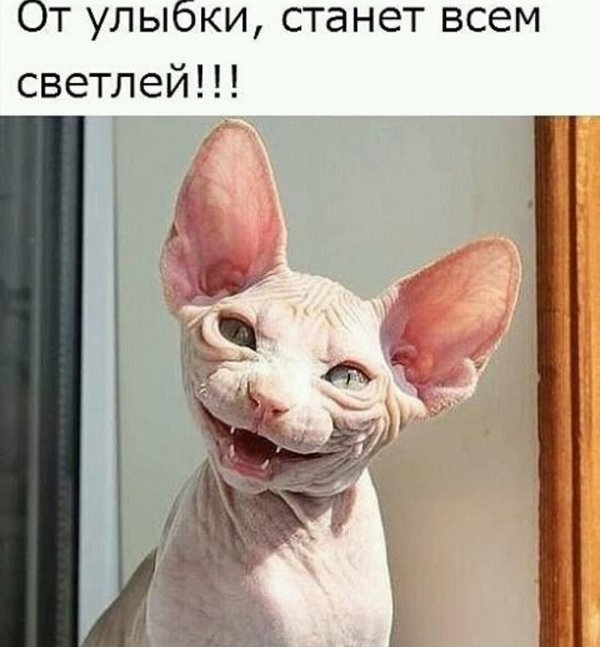 Мнение о событиях на Доме-2 (7.06.2022) Мнение о событиях на Доме-2 (7.06.2022)