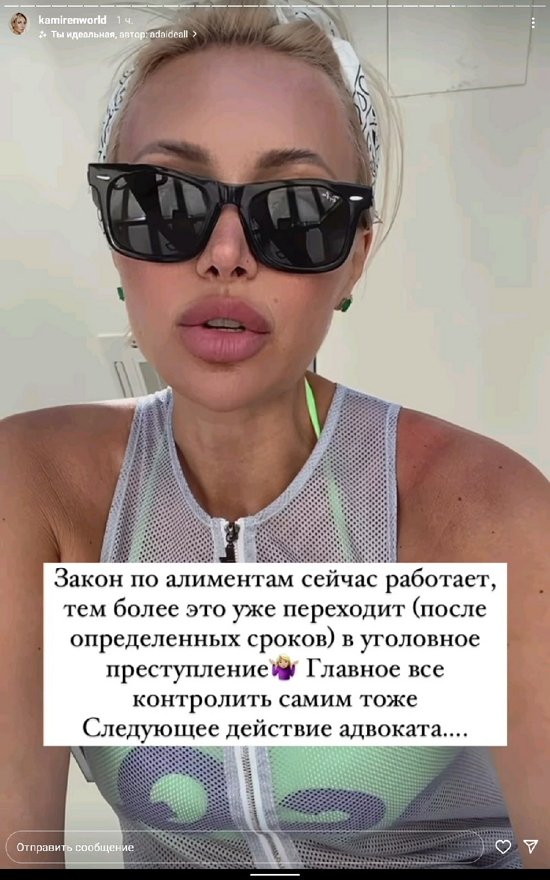 Элина Камирен: Дальнейшие действия адвоката...
