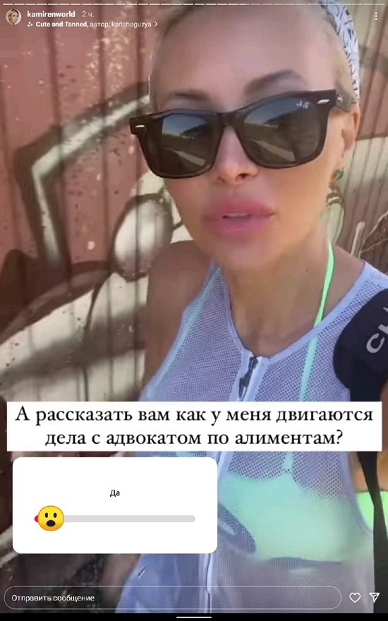 Элина Камирен: Дальнейшие действия адвоката...