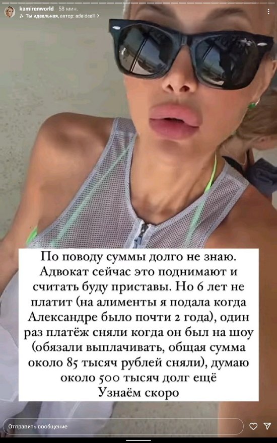 Элина Камирен: Дальнейшие действия адвоката...