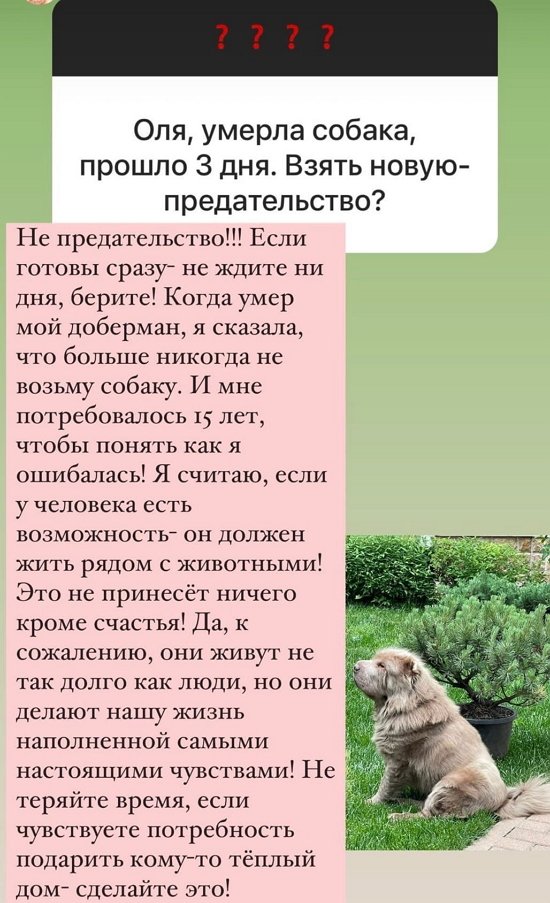 Ольга Орлова: Таких орлов нужно гнать в шею!