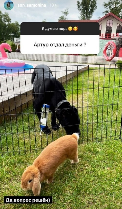 Анна Самонина: Я свободна