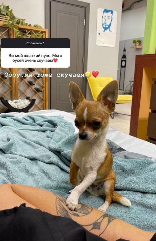 Алёна Опенченко: Я боролась и я победила