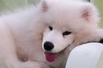 Кристина Бухынбалтэ: Стало пусто и грустно одновременно