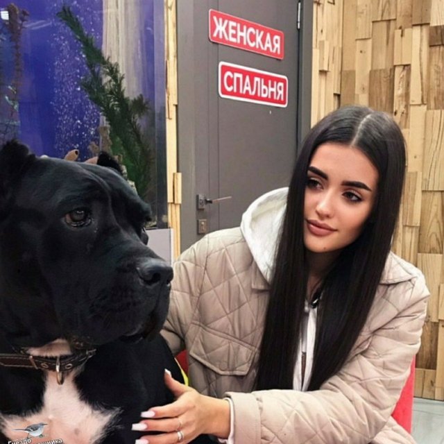 Свежие фото от участников (25.09.2022)