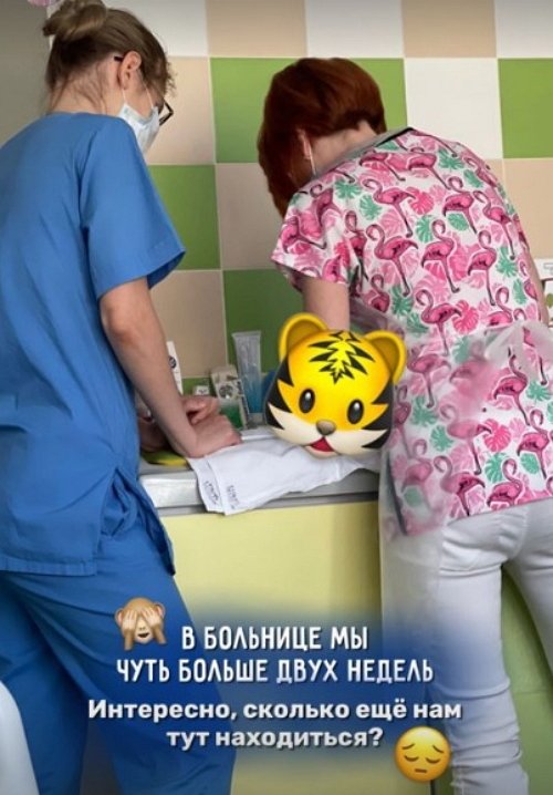 Юлия Ефременкова: Говорят - не приучать к рукам