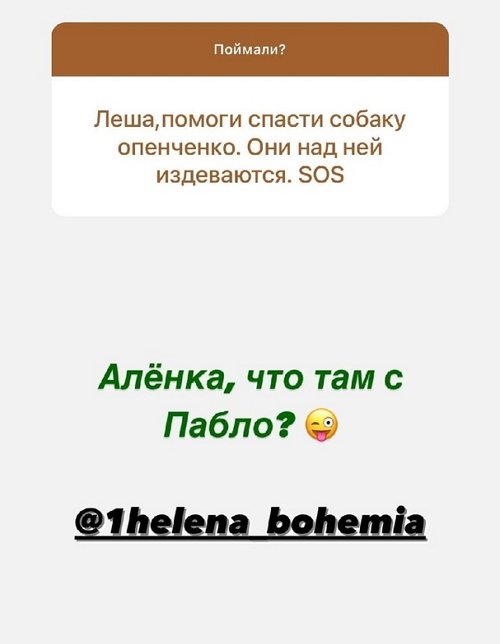 Алексей Адеев: У меня ничего не поменялось к Наде
